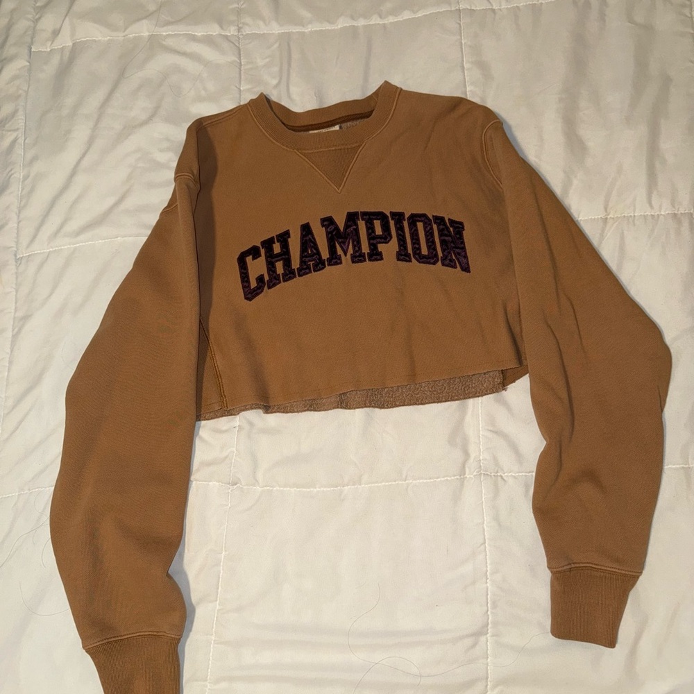 Champion Brown Cropped Sweatshirt